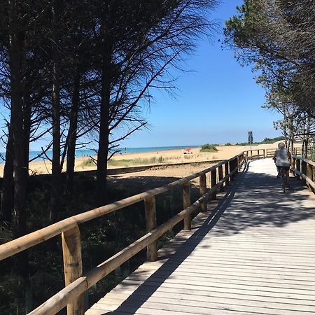 Appartamenti Diana Est Bibione Dış mekan fotoğraf